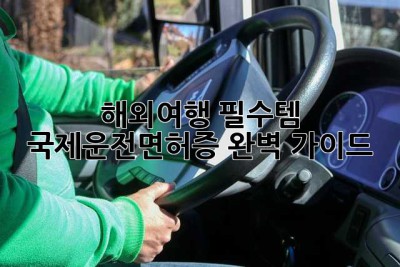 해외여행 필수템! 국제운전면허증 완벽 가이드