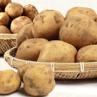 놓치면 후회! 햇 황토감자 특가 🥔 후기