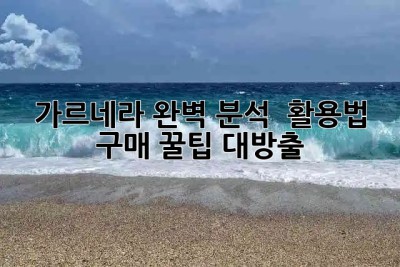 가르네라 완벽 분석! 🤩 활용법 & 구매 꿀팁 대방출 🍯