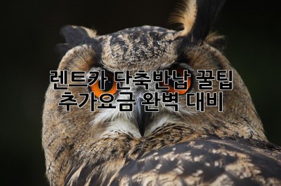 ⏰ 렌트카 단축반납 꿀팁🍯 추가요금 완벽 대비!