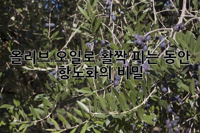 올리브 오일로 활짝 피는 동안, 항노화의 비밀