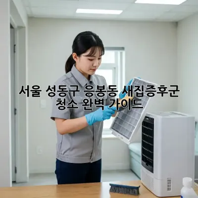 서울 성동구 응봉동 새집증후군 청소 완벽 가이드