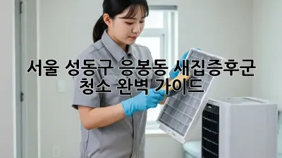 서울 성동구 응봉동 새집증후군 청소 완벽 가이드