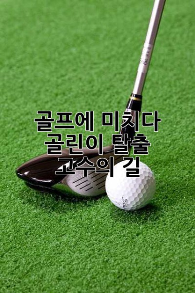 골프에 미치다: 골린이 탈출, 고수의 길