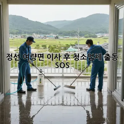 정선 여량면 이사 후, 청소업체 출동 SOS!