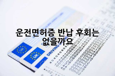 운전면허증 반납, 후회는 없을까요? 🤔