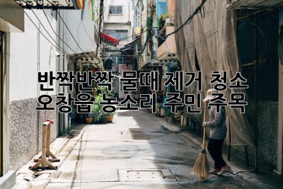 💦 반짝반짝✨ 물때 제거 청소! 오창읍 농소리 주민 주목! 🏡