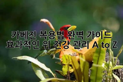 카베진 복용법 완벽 가이드 💊 효과적인 위 건강 관리 A to Z