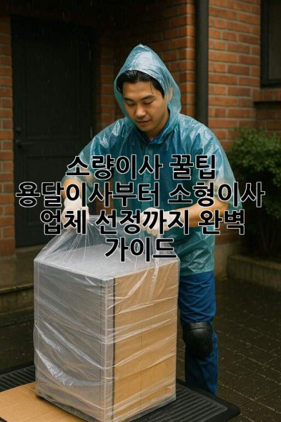 소량이사 꿀팁🍯: 용달이사부터 소형이사 업체 선정까지 완벽 가이드!