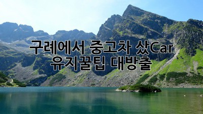 구례에서 중고차 샀Car! 유지꿀팁 대방출 🚗💨