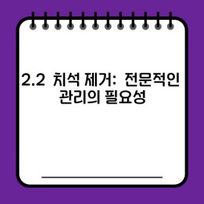 강아지 치아 관리: 건강한 치아, 행복한 댕댕이를 위한 완벽 가이드